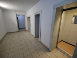 ��������� �������� �������� ���., 22�, ���, �������������, ���������, �. ����������� ���� 16