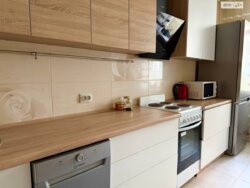 ��������� �������� ������������� ����., 10, ���, �����������, �. ��쳿����� ���� 7