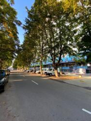 ������ / �������� / �������� ������� / ���. ��������, 24 ���� 16