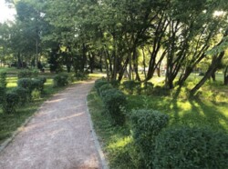 ������ 3� �������� ������������ 45� �� ������� ���� !� ��������� ���� 10