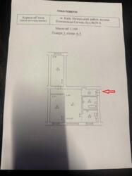 ��������� �������� ������ ���������� ���. (�����), 29 �, ��� ���� 18