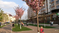 �� ��������� ���� 21