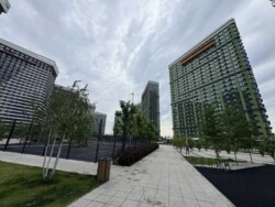 ��������� �������� ���, ���������� ���� 20