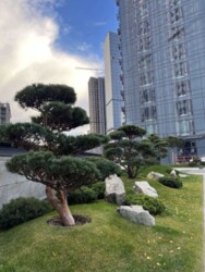 ��������� �������� �� ��������� 1� 43�2 ���� 3