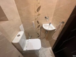 ������ 2� ��������, �������, ���������� 20�, ����� �������� ���������. ���� 20