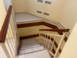 ��������� �������� ���������� ���. (��������), 38 �, ��� ���� 15