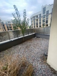 ��������� �������� ���, ����������� ���� 6