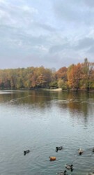 70 ��.� 2 ����.�� �������� ���� 2 ���� 12