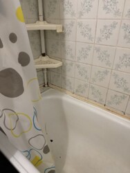 ��������� �������� ���, ������������� ���� 6