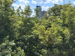 ��������� �������� �������� ���������� ���., 8 �, ��� ���� 4