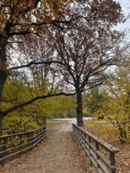 70 ��.� 2 ����.�� �������� ���� 2 ���� 11