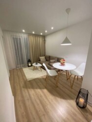 �� �Orange City� ���� 1