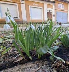 ��������� �������� ���������� ���. (��������), 57 �, ��� ���� 25