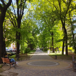 �� ���������� ������� ���� 12