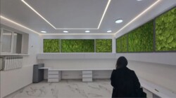 ��������� �������� �����, 63, ���, ����������� ���� 5