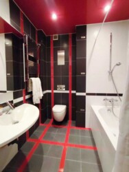 Київ 5-ти кімнатна Васкула Ореста (Пушиной) фото 8 Київ 5-ти кімнатна Васкула Ореста (Пушиной) фото 8