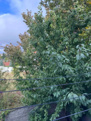 �. ��������������, ��������� ������ ������� ���� 12