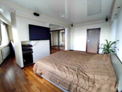 Київ 5-ти кімнатна Васкула Ореста (Пушиной) фото 5 Київ 5-ти кімнатна Васкула Ореста (Пушиной) фото 5