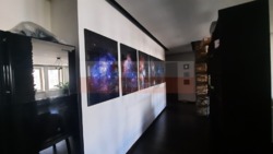 ������ 16 �. ��������. ���� 14