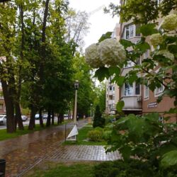 �� ���������� ������� ���� 11