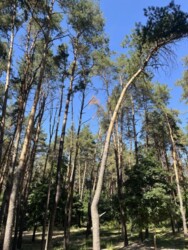 ��������� �������� � �� ������� ����� ���� 20