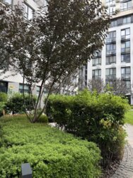 ��������� �������� ���, ������������� ���� 4