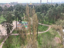 ������ ���������� ��������, ���� ����� ����. ���� 1