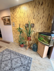 ������ 1 ������� �������� �� ��������� ������� ���� 4