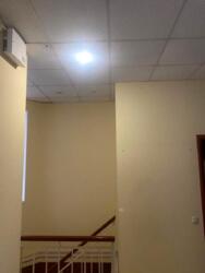 ��������� �������� ���������� ���. (��������), 38 �, ��� ���� 13