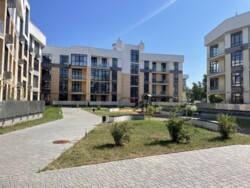 ��������� �������� ���, ����������� ���� 5