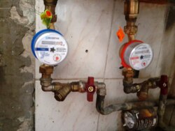 ������ ���� 15