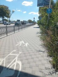 ��������� �������� ���, �����'������� ���� 6