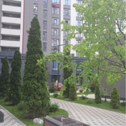 ������ 1-� ��������, �������, �� �������� ������� ���� 2