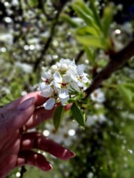 , ������ ����� ��� ����� '������������ ��������', ���� 2