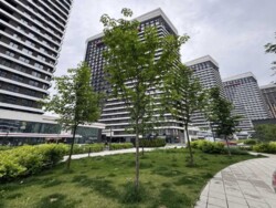 ��������� �������� ���, ���������� ���� 18