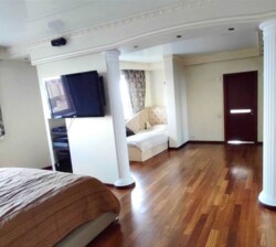 Київ 5-ти кімнатна Васкула Ореста (Пушиной) фото 4 Київ 5-ти кімнатна Васкула Ореста (Пушиной) фото 4