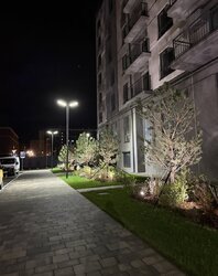 ��������� �������� ���������, 20, ���������� ���������, ����-�������������, ������� ���� 16