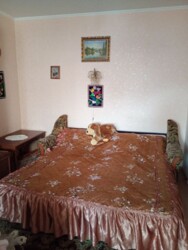 ��������� �������� ���, ���������� ���� 2