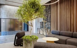 �� Life story1� �������� � 43,6� ���� 8