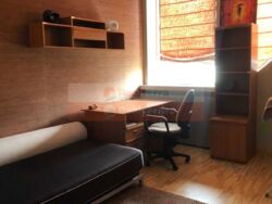 ��������� �������� ���������� ���., 13, ���, ������������� ���� 20