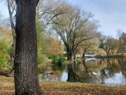 2� ����������� ���, ���������� ���������� 70��.� �������� ���� 2 ���� 6