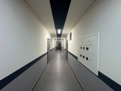 ��������� �������� ���, ���������� ���� 11