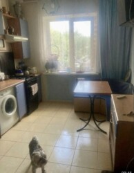 ��������� �������� ���, ����������� ���� 3