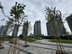 ��������� �������� ���, ���������� ���� 23