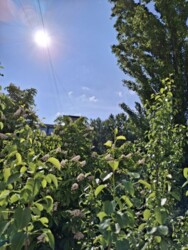 , ������ ����� ��� ����� '������������ ��������', ���� 7