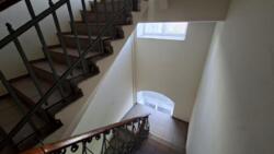 ��������� �������� ���������� ���. (��������), 57 �, ��� ���� 22