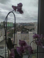 �����-�������� � ����� �������� ��� ������� ����, ������� 73. ���� 9