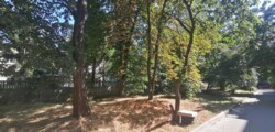 Продається 3к квартира, площею 56 м2 в Києві з ремонтом на вул.Тополева. фото 6 Продається 3к квартира, площею 56 м2 в Києві з ремонтом на вул.Тополева. фото 6