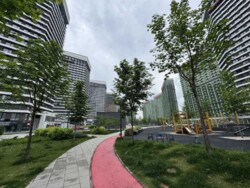 ��������� �������� ���, ���������� ���� 22