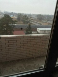 ������ �������� , ���������� ����� ���. ������������, 19, ���� 10